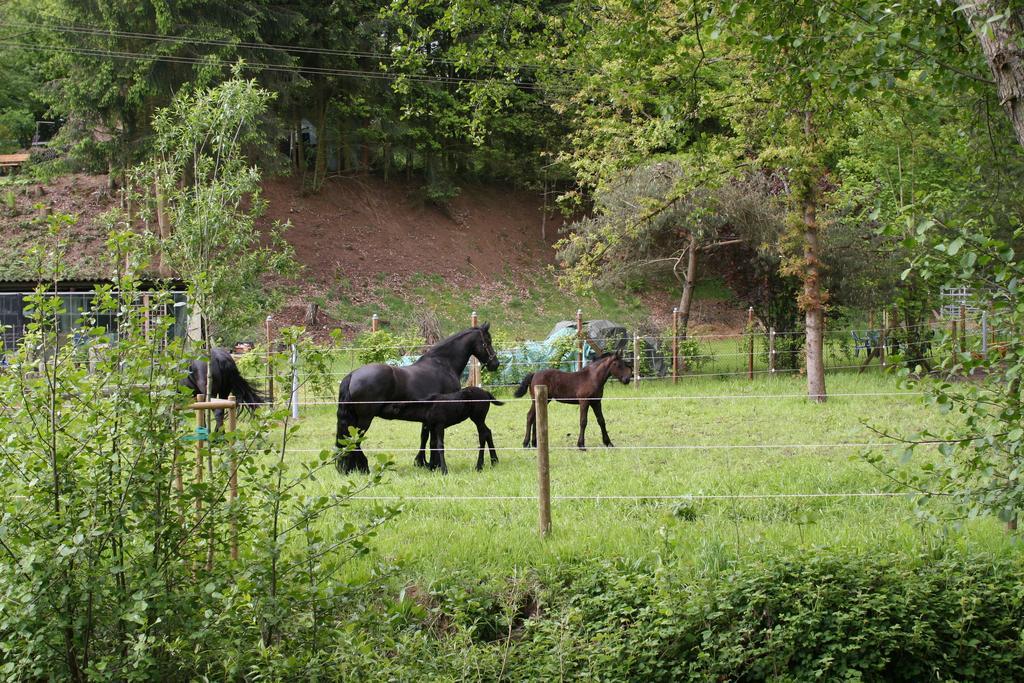 Saarlandtraum Weihermuehle Schmelz Exteriör bild