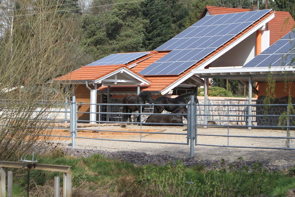 Saarlandtraum Weihermuehle Schmelz Exteriör bild