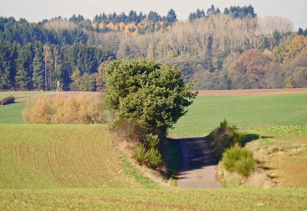 Saarlandtraum Weihermuehle Schmelz Exteriör bild